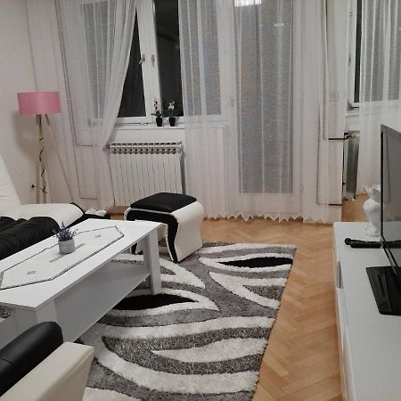 Apartman Hana Sanski Most Ngoại thất bức ảnh